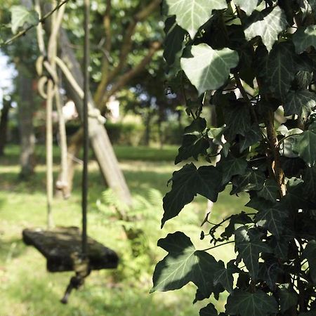 Agriturismo Da Gas San Giorgio in Bosco Kültér fotó