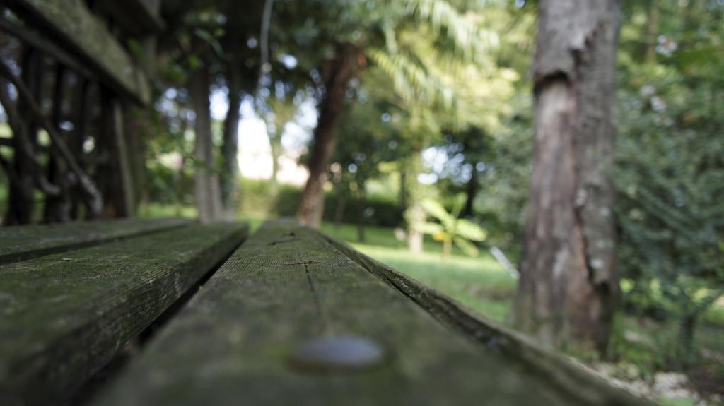 Agriturismo Da Gas San Giorgio in Bosco Kültér fotó